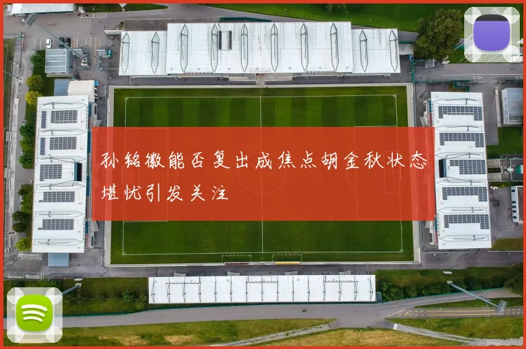孙铭徽能否复出成焦点胡金秋状态堪忧引发关注